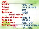 深圳市初中英语九年级级下Unit4 Natural disasters教学课件 words.ppt