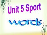 深圳市初中英语九年级级下Unit5 Sports教学课件 words