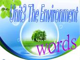 深圳市初中英语九年级级下Unit3 The environment 教学课件 words