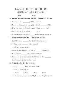 初中英语外研版 (新标准)七年级上册Revision module A达标测试