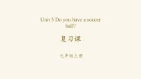 初中英语人教新目标 (Go for it) 版七年级上册Unit 5 Do you have a soccer ball?综合与测试复习ppt课件