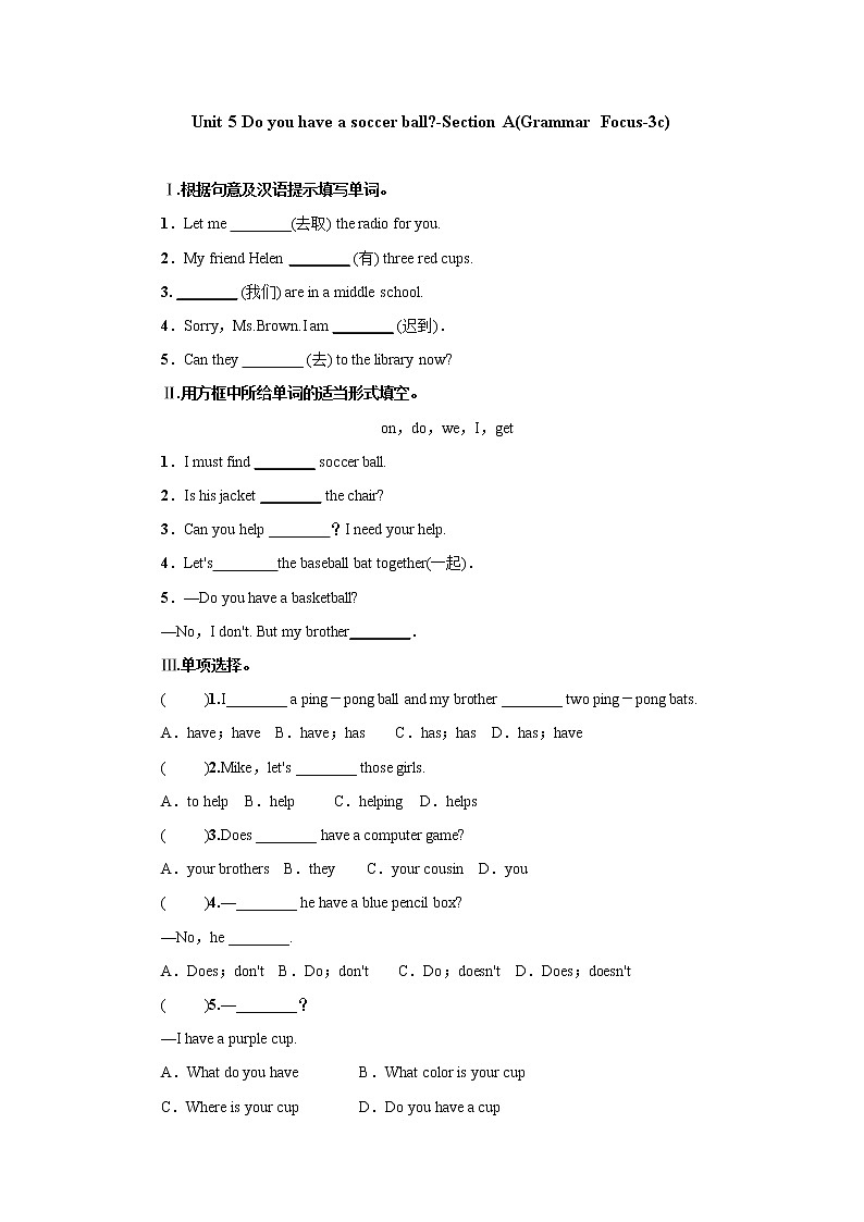 Unit 5 Do you have a soccer ball-Section A(Grammar Focus-3c)课后作业 人教版（新目标）英语七年级上册第1页