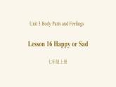 Unit 3 Lesson 16 Happy or Sad课件1 冀教版英语七年级上册