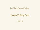 Unit 3 Lesson 13 Body Parts课件1 冀教版英语七年级上册