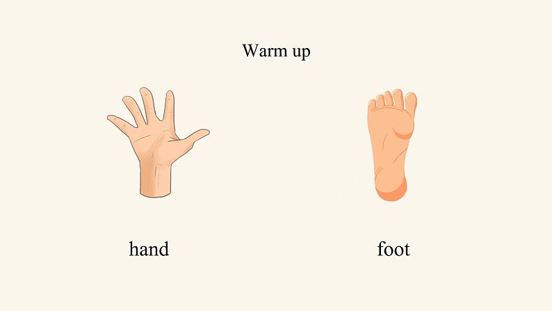 Unit 3 Lesson 13 Body Parts课件1 冀教版英语七年级上册05