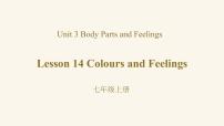 英语七年级上册Lesson 14  Colours and Feelings教课内容ppt课件