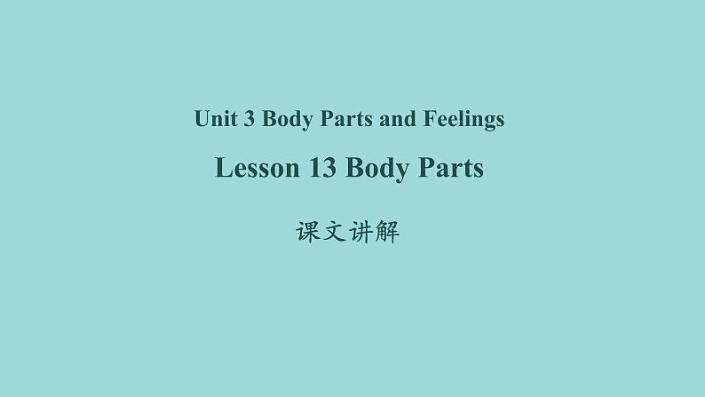 Unit 2 Lesson 13 Body Parts 课文讲解课件 冀教版英语七年级上册01