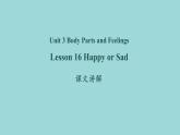 Unit 3 Lesson 16 Happy or Sad课文讲解课件 冀教版英语七年级上册