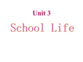 （新）冀教版七年级英语下册Unit+3+Lesson+17+School+Science+Fair课件