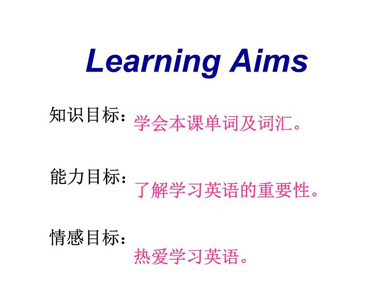 （新）冀教版七年级英语下册Unit+5+lesson+26+Online+Phone+Calls课件04