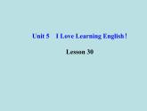 七年级英语下册 Unit 5 I Love Learning English！Lesson 30课件 （新版）冀教版