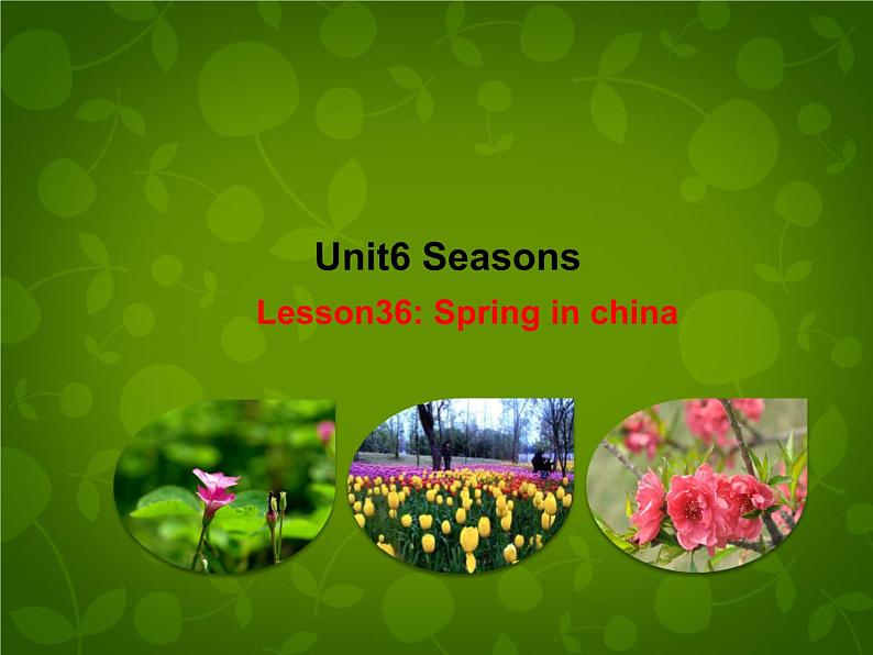 Unit 6 Seasons Lesson 36 Spring in China课件 （新版）冀教版七年级下册01