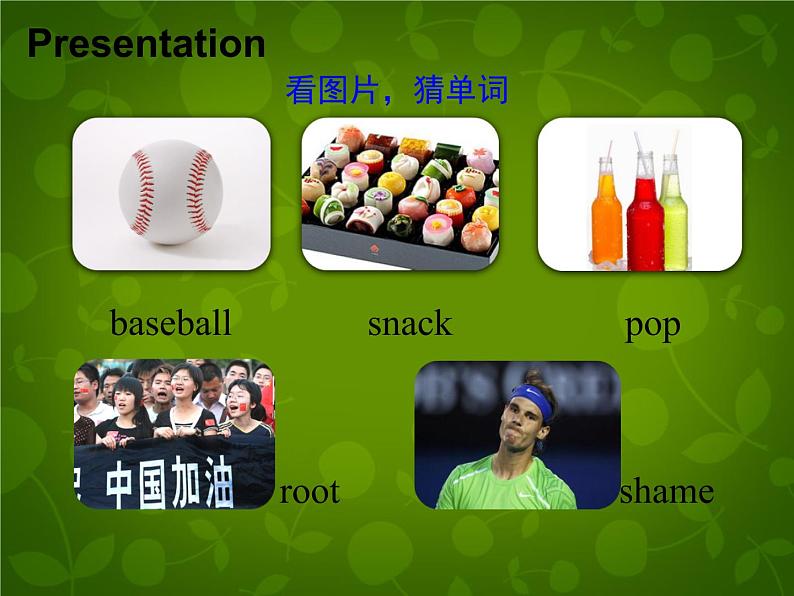 Unit 8 Summer Holiday Is Coming Lesson 45 Baseball Season课件 （新版）冀教版七年级下册第6页