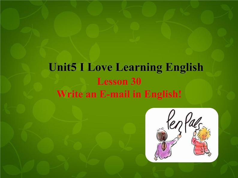 Unit 5 I Love Learning English Lesson 30 Writing an E-mail in English课件 （新版）冀教版七年级下册01