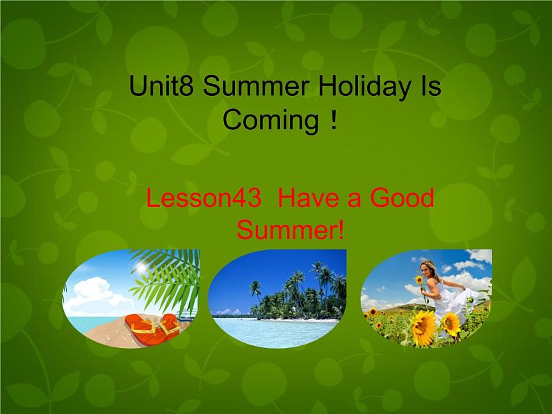 Unit 8 Summer Holiday Is Coming Lesson 43 Have a Good Summer课件 （新版）冀教版七年级下册01