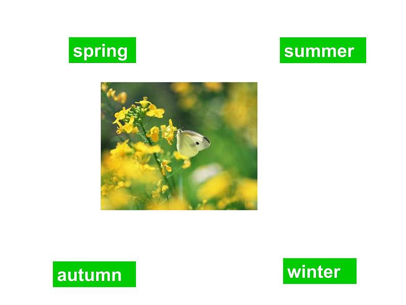 冀教版英语七年级上册 Unit 7 Days and months Lesson 37 Seasons and Weather  课件06