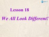 七年级英语上册 Unit 3 Lesson 18 We All Look Different！课件 （新版）冀教版