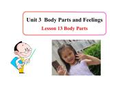 七年级英语上册 Unit 3 Body Parts and Feelings Lesson 13 Body Parts课件 （新版）冀教版
