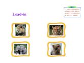 七年级英语上册 Unit 6 Let’s Go！Lesson 33 Let’s Go to the Zoo！课件 （新版）冀教版