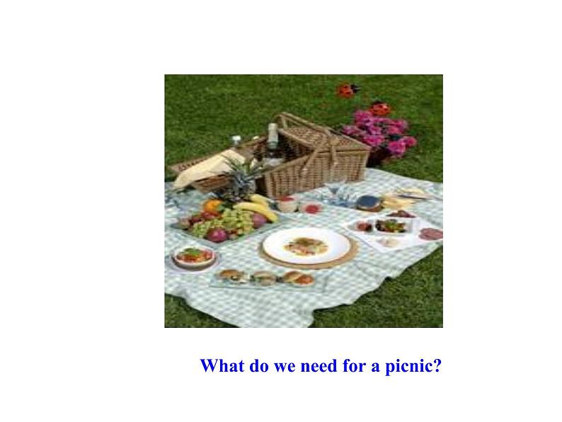 七年级英语上册 Unit 5 Family and Home Lesson 28 A Family Picnic课件 （新版）冀教版03