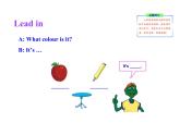 七年級(jí)英語上冊 Unit 2 Colours and Clothes Lesson 8 Danny’s Favourite Colour課件 （新版）冀教版