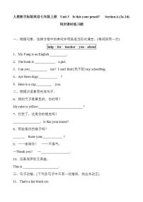 初中英语人教新目标 (Go for it) 版七年级上册Section A精品巩固练习