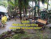 人教版英语八年级下册 Unit5  What were you doing when the rainstorm came? SectionA3 课件+教案+同步练习+导学案+素材