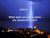 人教版英语八年级下册 Unit5  What were you doing when the rainstorm came?  SectionB1 课件+教案+同步练习+导学案+素材