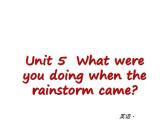 人教版英语八年级下册：Unit 5 What were you doing when the rainstorm came【单元测试】课件PPT