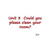 人教版英语八年级下册：Unit 3 Could you please clean the  room【单元测试】课件PPT