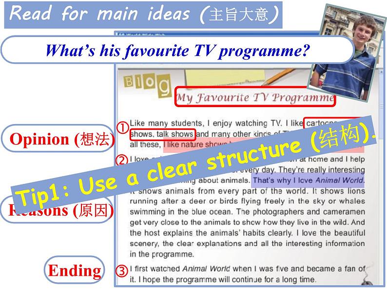 My favorite TV programme第4页