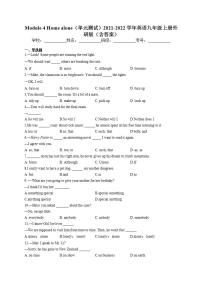 外研版 (新标准)九年级上册Module 4 Home alone综合与测试单元测试课时练习