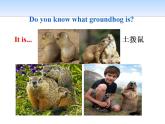 《Stories about Spring》Spring Is Coming PPT教学课件