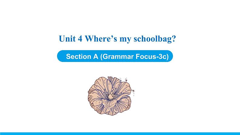 Unit 4 Section A (Grammar Focus-3c) 课件 -2021-2022学年七年级人教新目标英语上册第1页