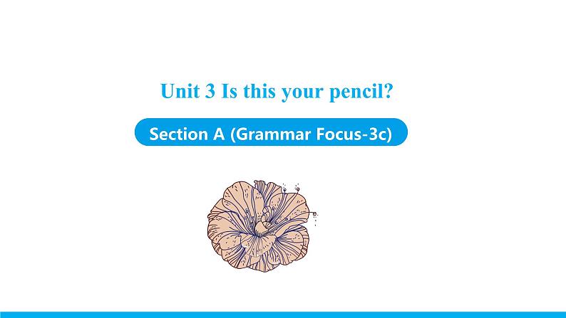 Unit 3 Section A (Grammar Focus-3c) 课件 -2021-2022学年七年级人教新目标英语上册第1页