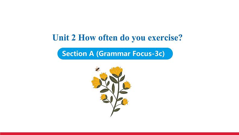 Unit 2 Section A (Grammar Focus-3c)课件 -2021-2022学年八年级人教新目标英语上册第1页