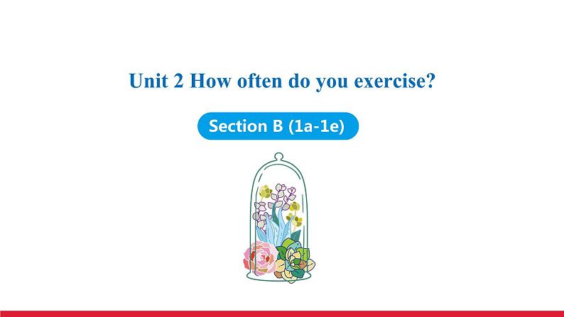 Unit 2 Section B (1a-1e)课件 -2021-2022学年八年级人教新目标英语上册第1页