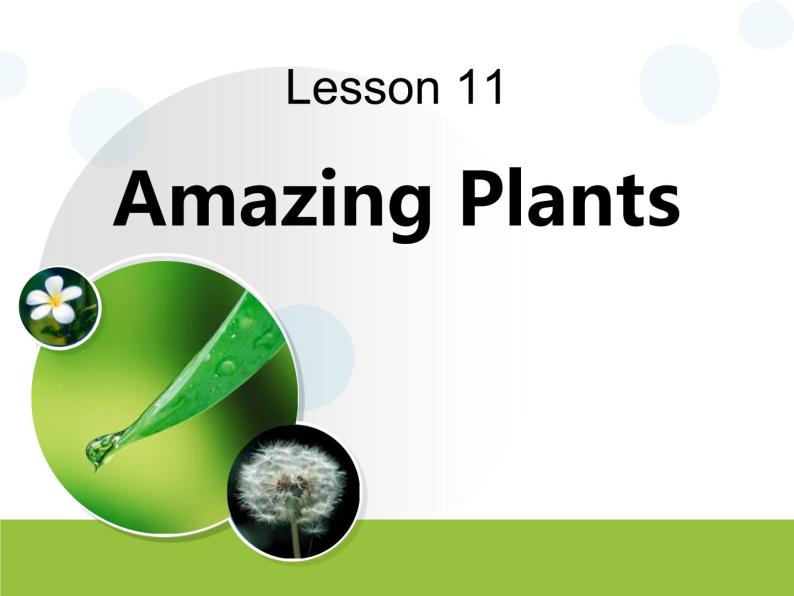 《Amazing Plants》Plant a Plant PPT下载课件PPT01