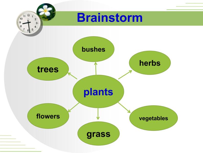 《Amazing Plants》Plant a Plant PPT下载课件PPT03
