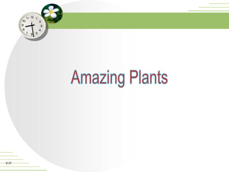 《Amazing Plants》Plant a Plant PPT下载课件PPT06