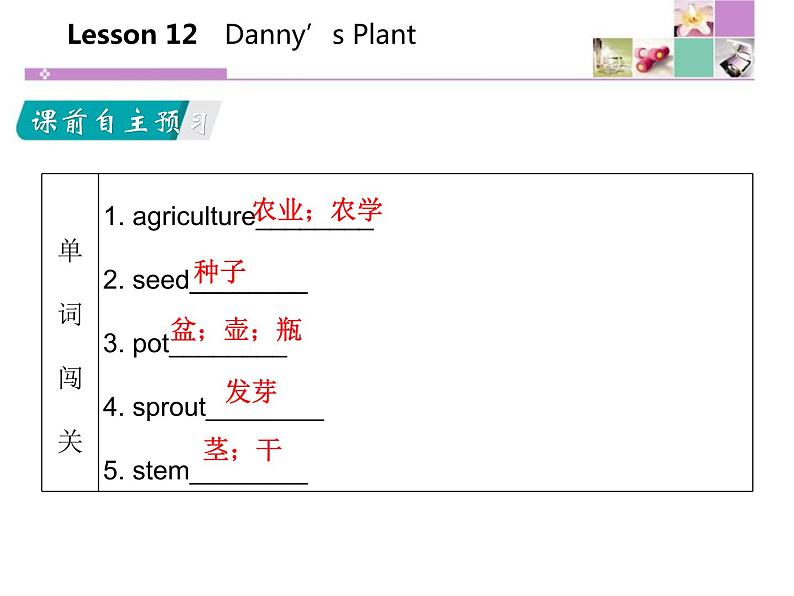 《Danny 's Plant》Plant a Plant PPT课件第2页