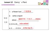 《Danny's Plant》Plant a Plant PPT課件