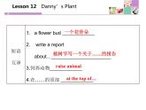 《Danny's Plant》Plant a Plant PPT课件