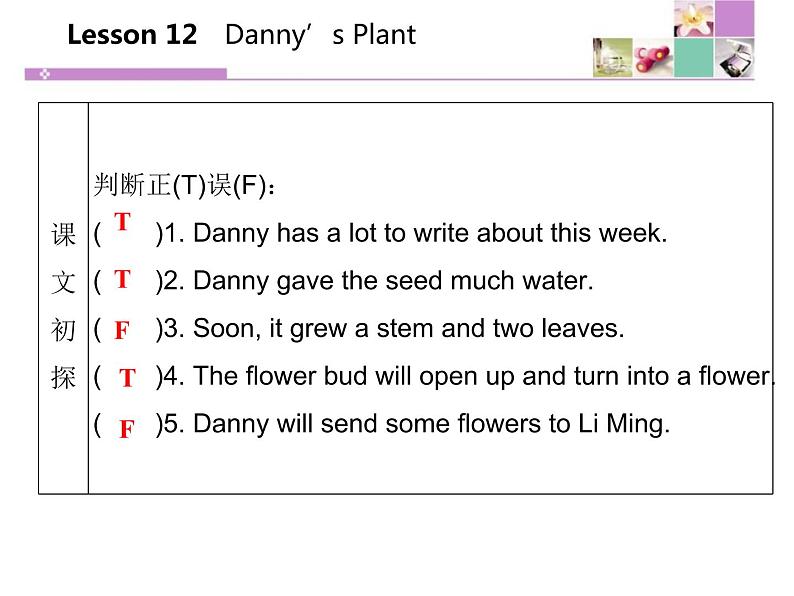 《Danny 's Plant》Plant a Plant PPT课件第6页