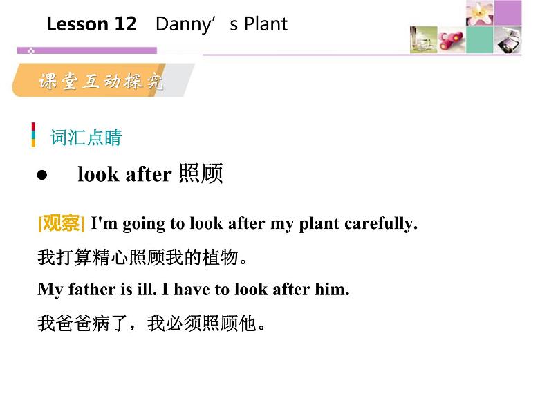 《Danny 's Plant》Plant a Plant PPT课件第7页