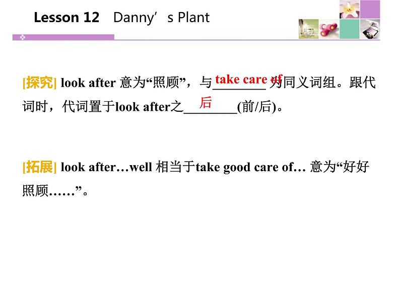 《Danny 's Plant》Plant a Plant PPT课件第8页