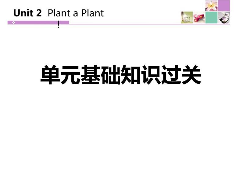 《单元基础知识过关》Plant a Plant PPT课件PPT01