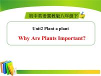 初中英语冀教版八年级下册Lesson 8 Why Are Plants Important?课文配套ppt课件