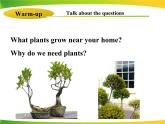 《Why Are Plants Important》Plant a Plant PPT下载课件PPT
