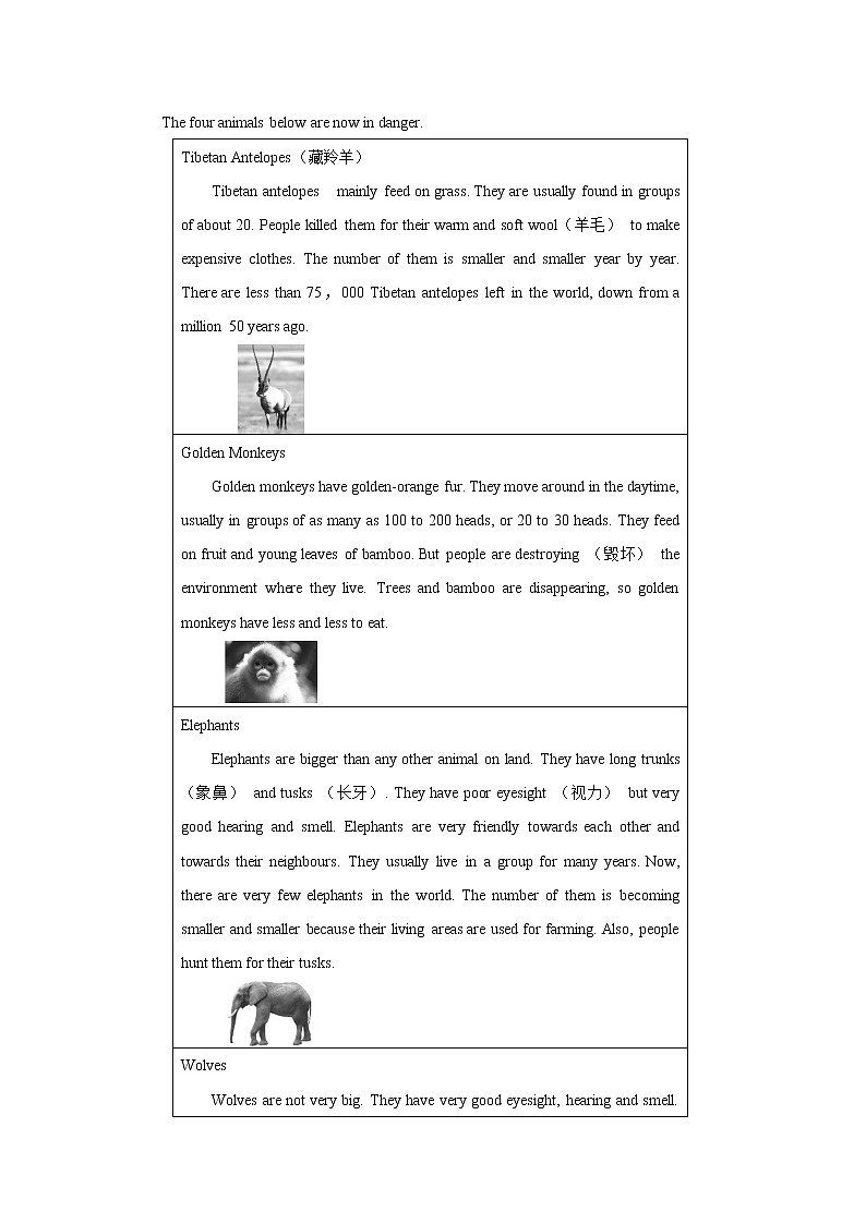Module 6—2021~2022学年外研版八年级模块练习第3页
